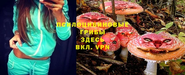 дживик Алзамай